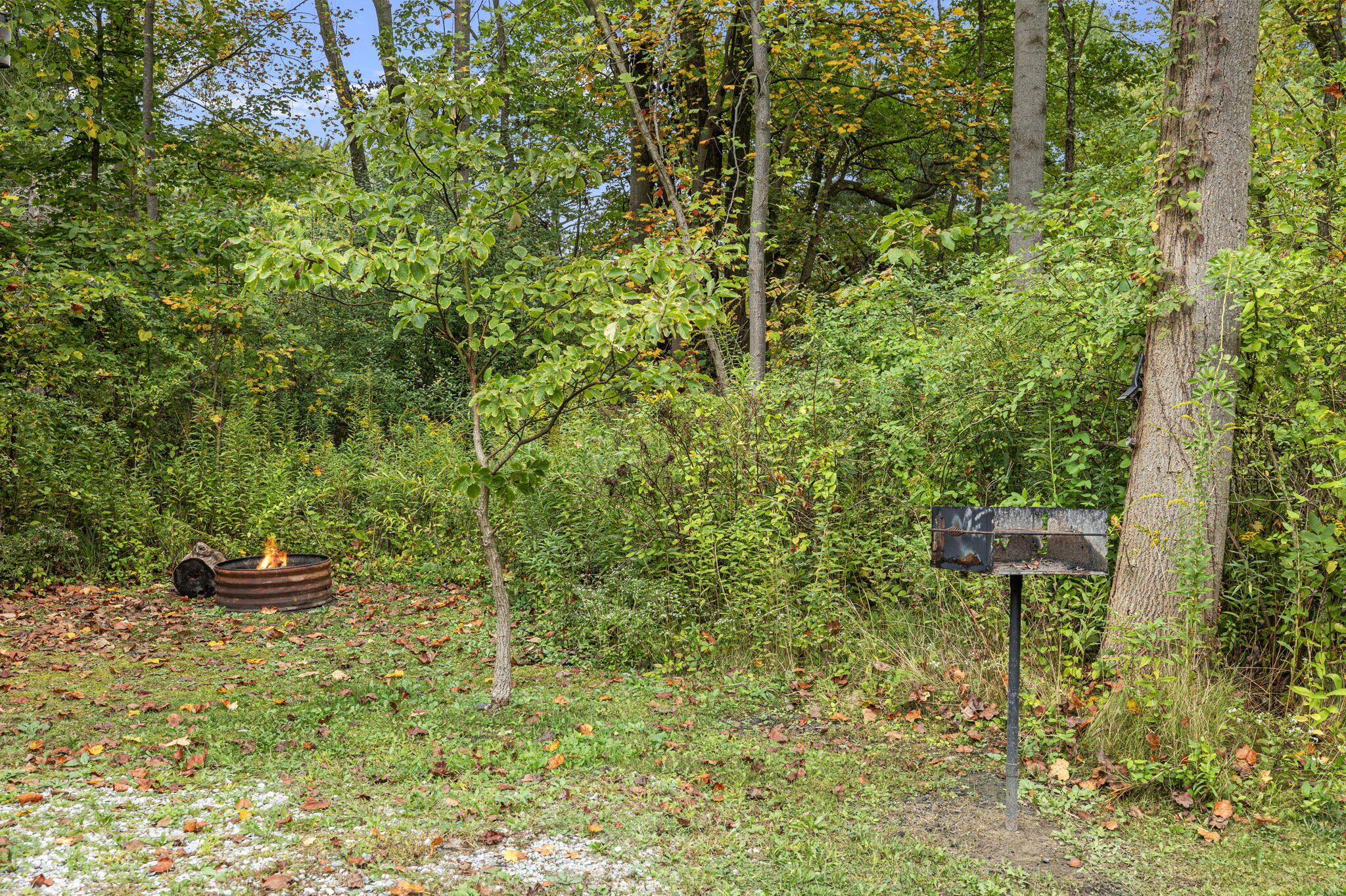 6264 Elm Drive