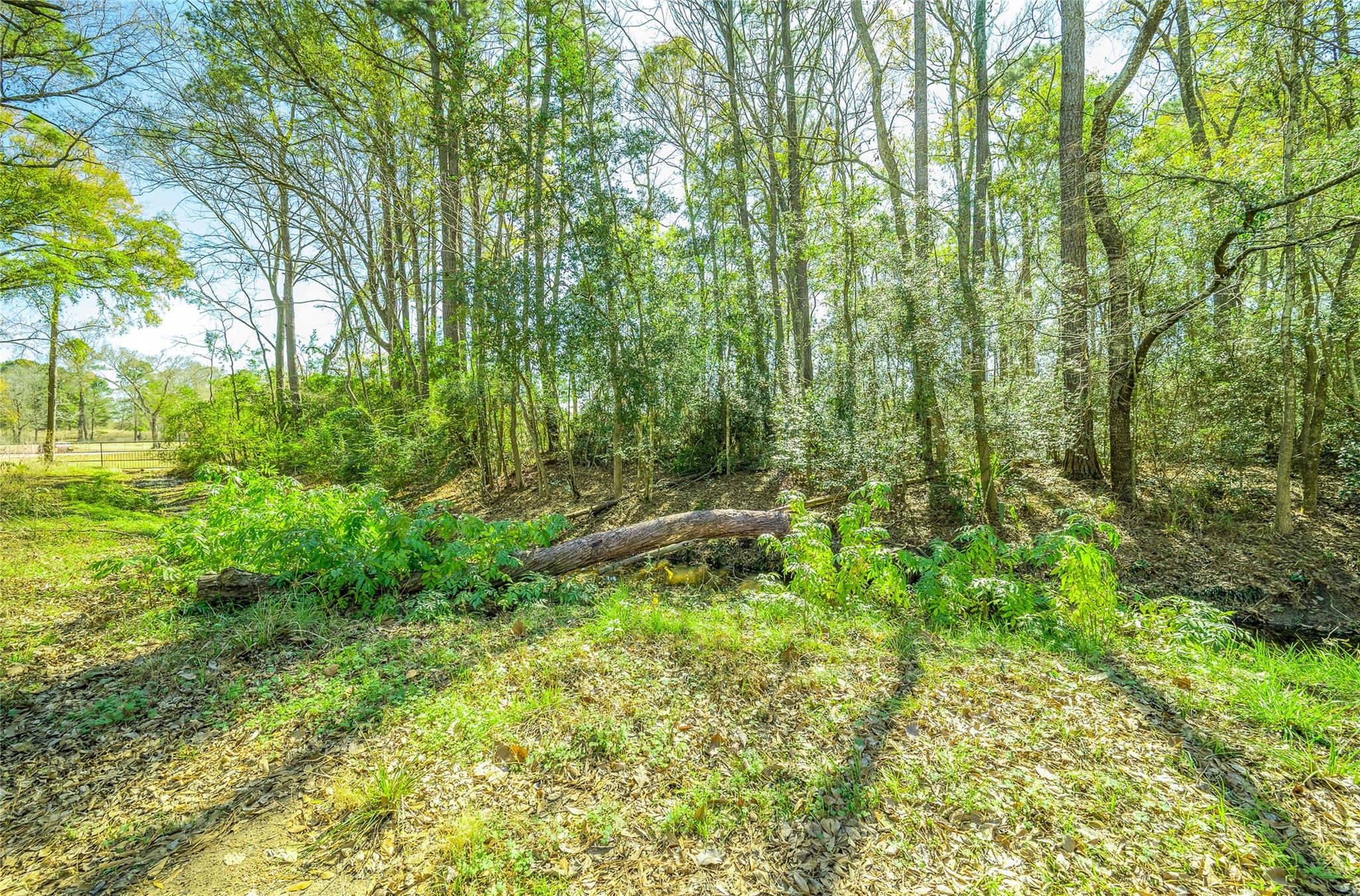 Lots 22-A - 26 Holly Springs Dr