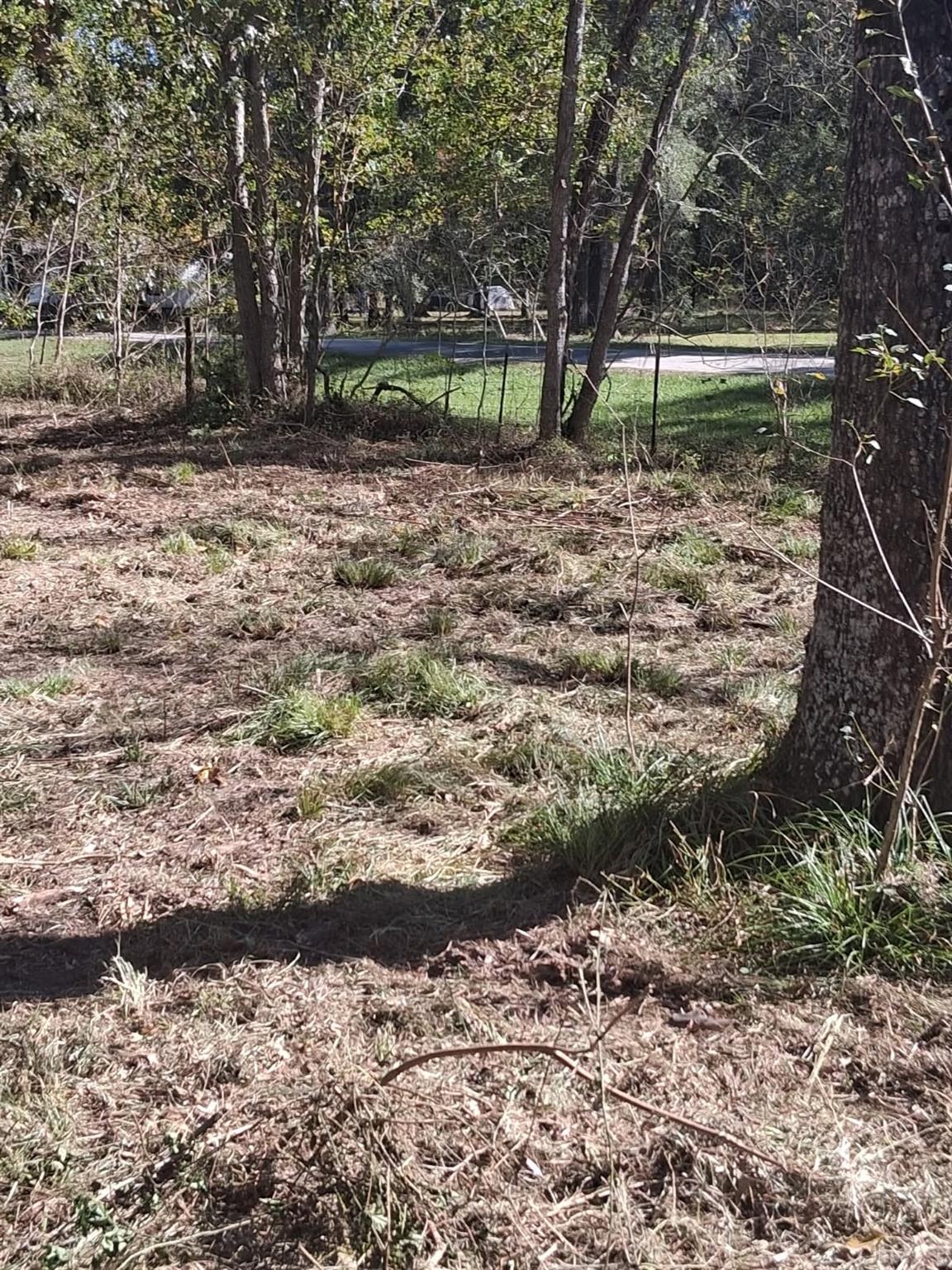 278 County Road 6502 W