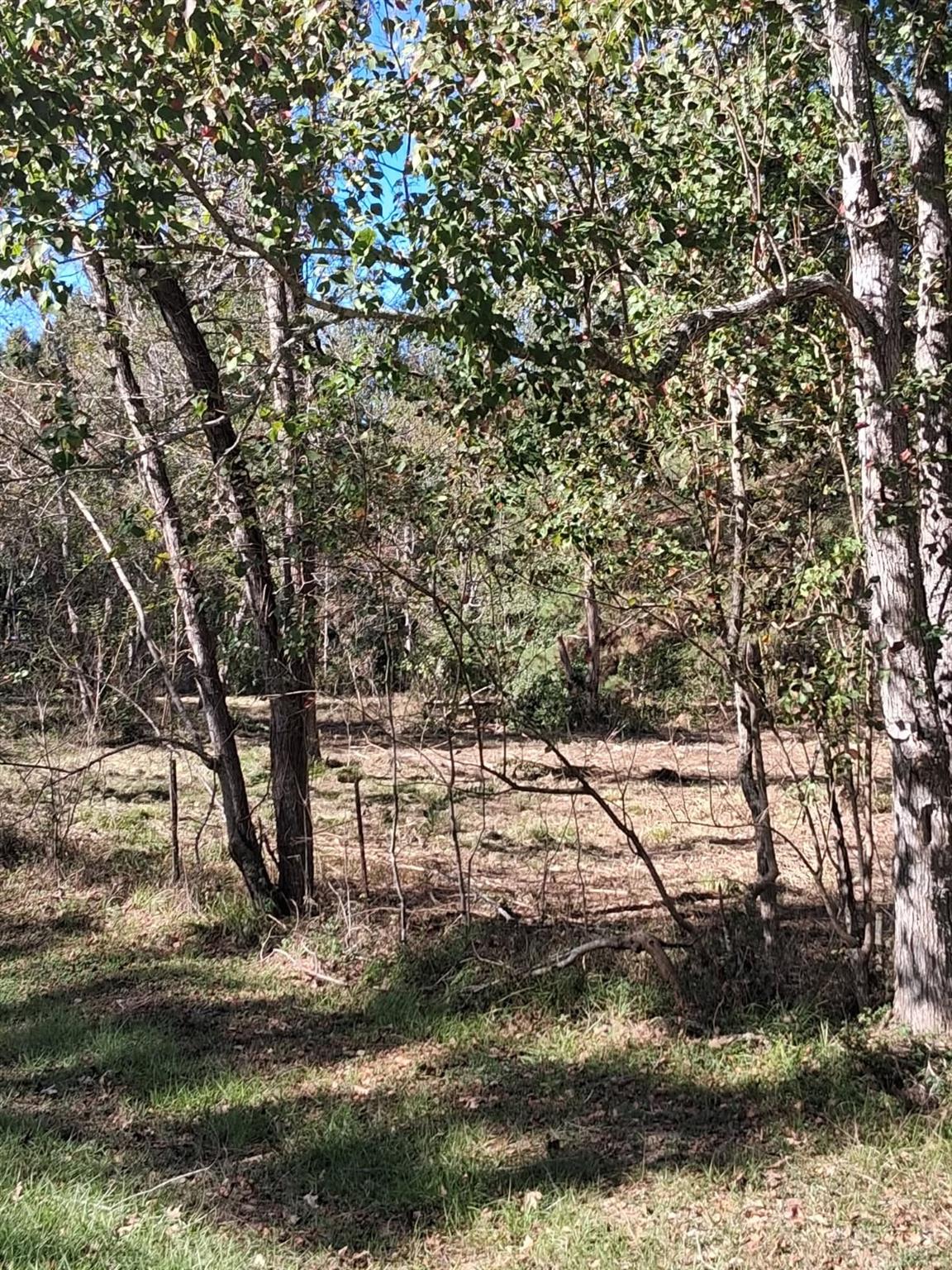 278 County Road 6502 W