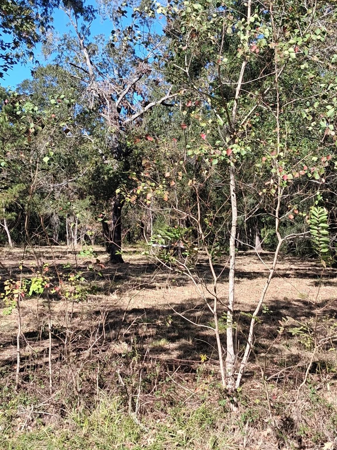 278 County Road 6502 W