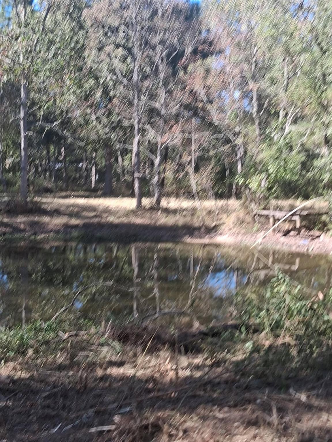 278 County Road 6502 W