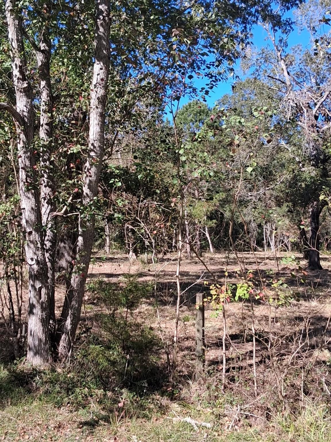 278 County Road 6502 W