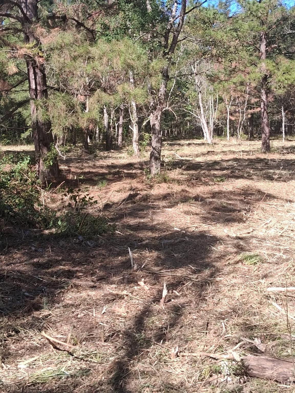 278 County Road 6502 W