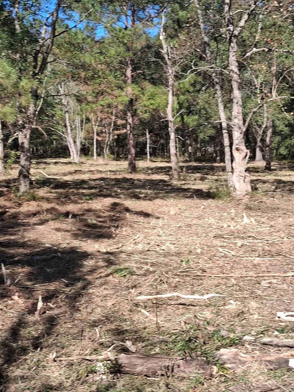 278 County Road 6502 W