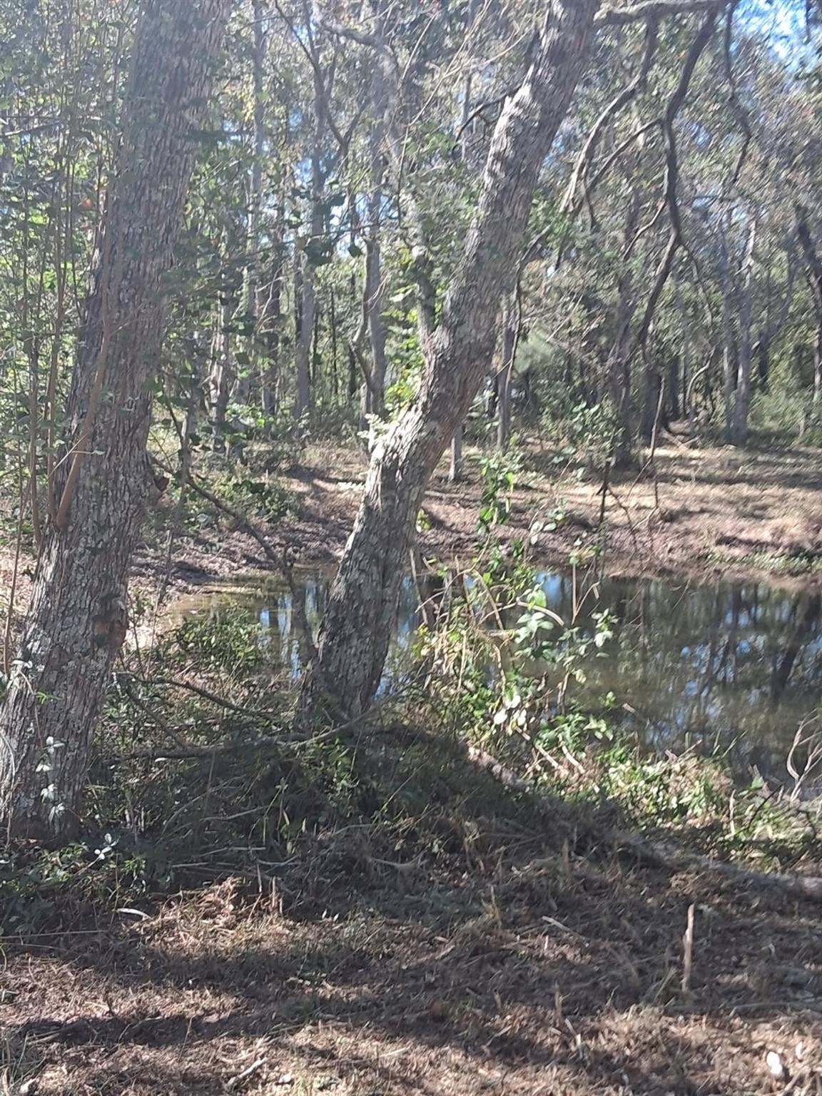 278 County Road 6502 W