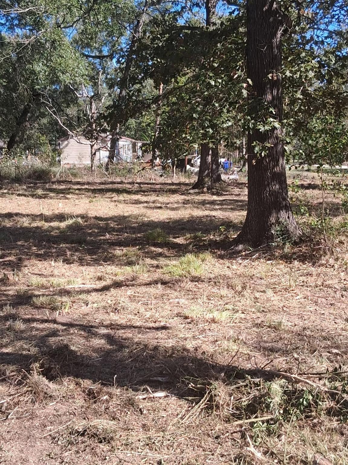 278 County Road 6502 W