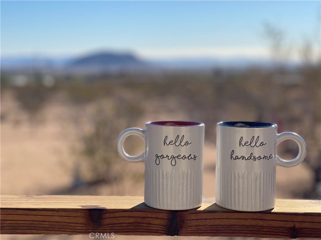 55436 Cone Boulevard