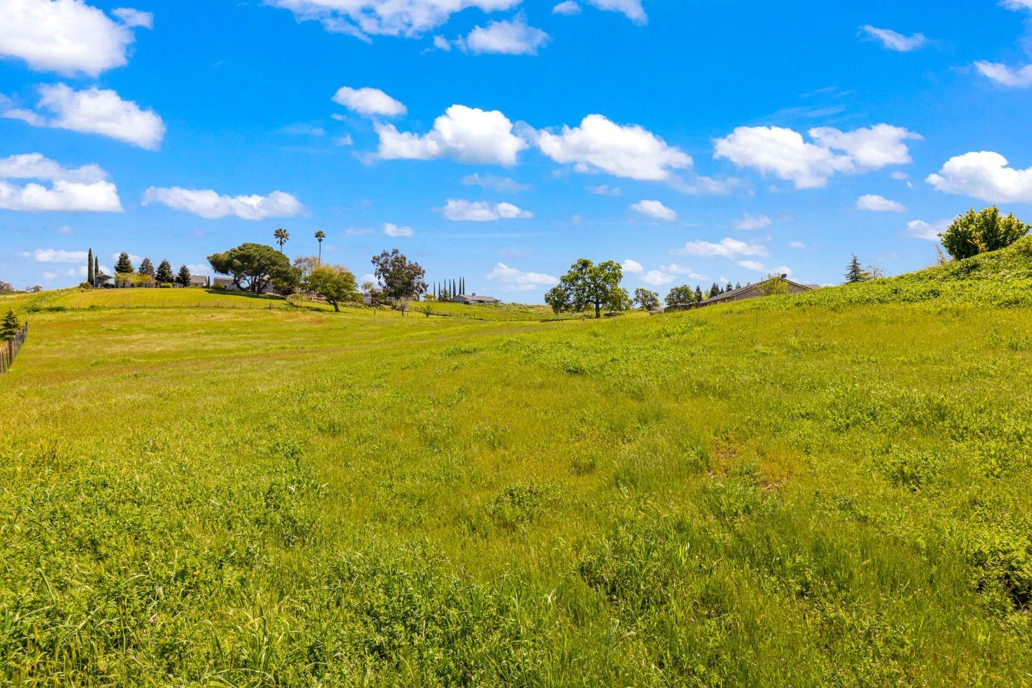 0 2901 Grapevine Gulch Road