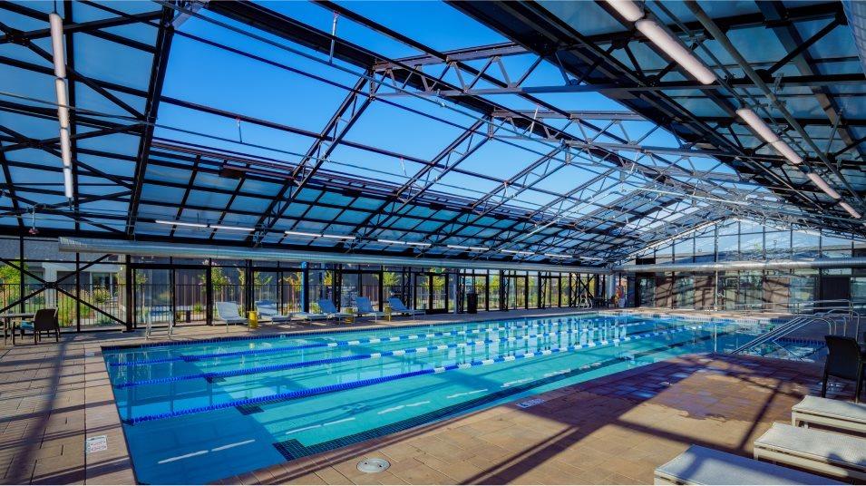 4730 Royal Lily Avenue