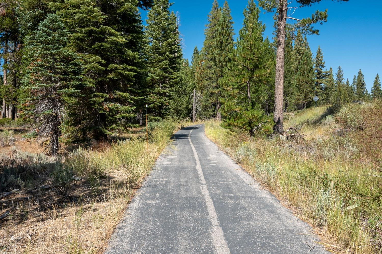 1675 Arapahoe Street