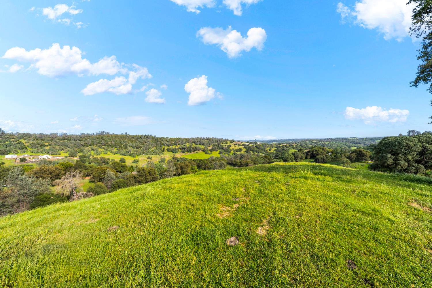 7051 Chaparral Drive