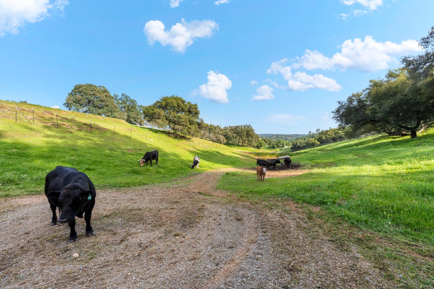 7051 Chaparral Drive