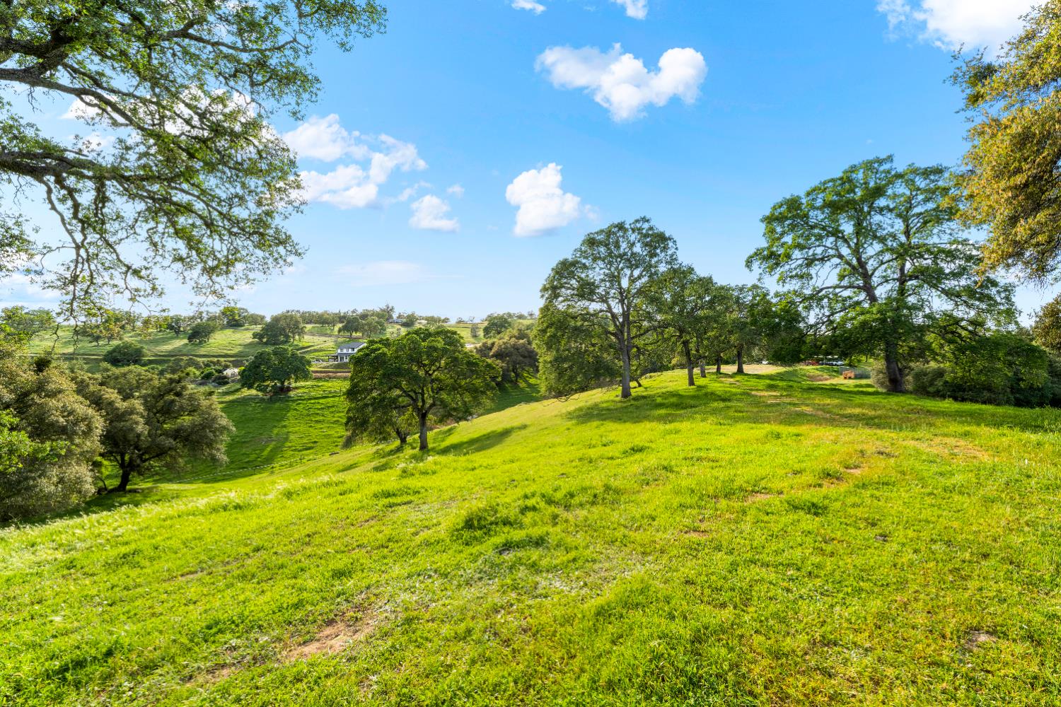 7051 Chaparral Drive