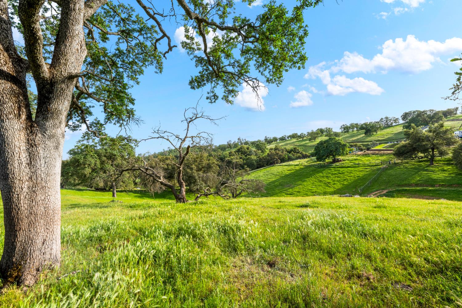 7051 Chaparral Drive