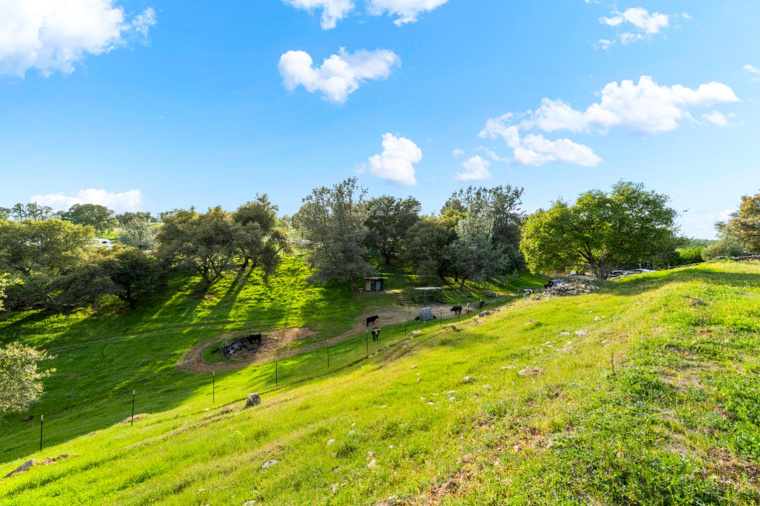 7051 Chaparral Drive