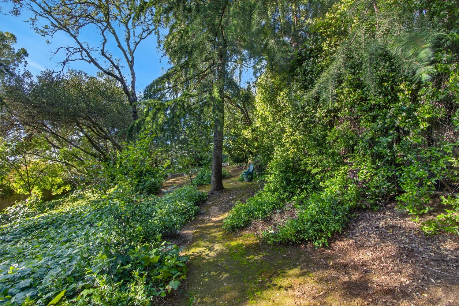 2608 Willowdale Drive