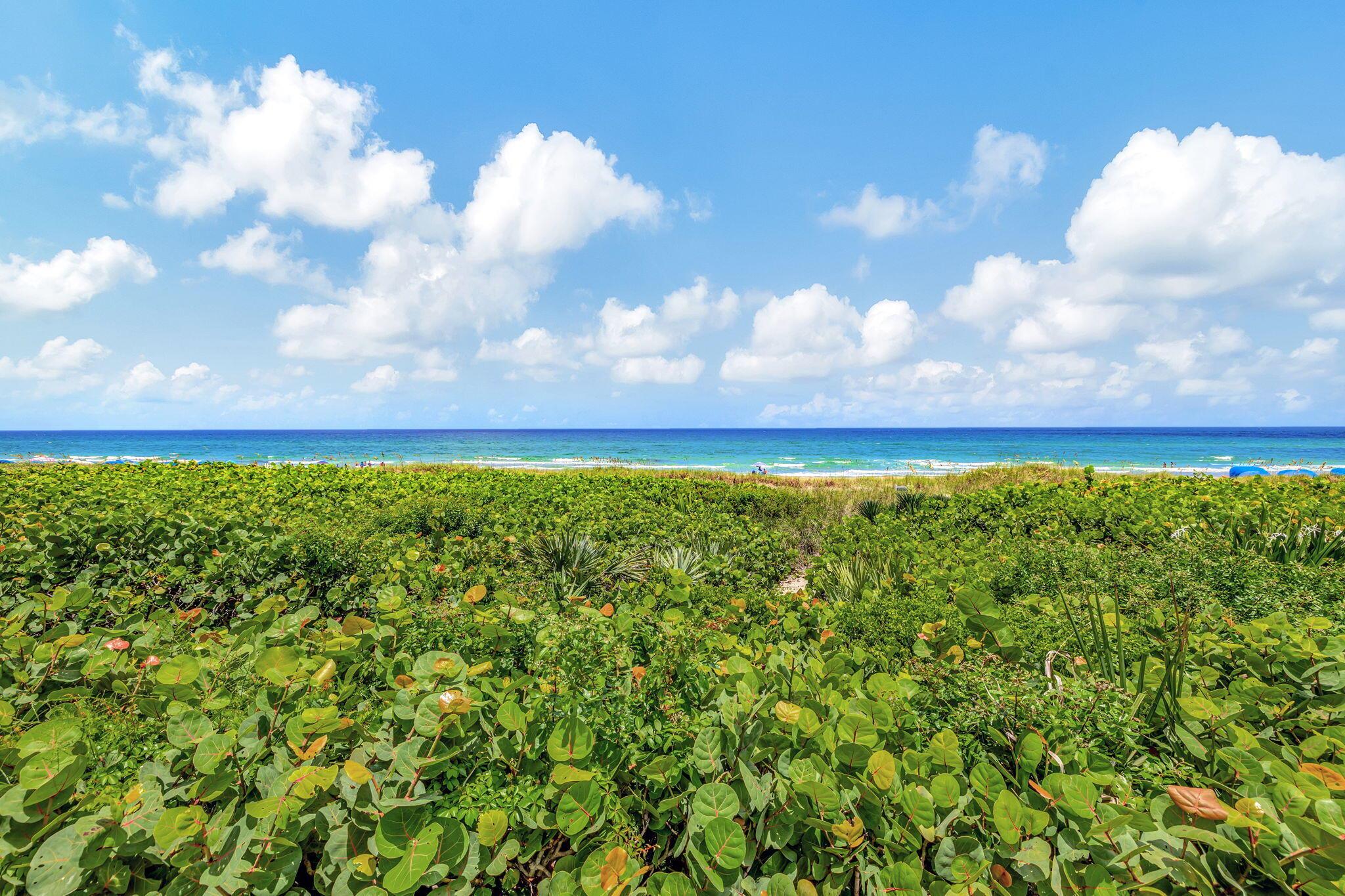 1713 S Ocean Boulevard