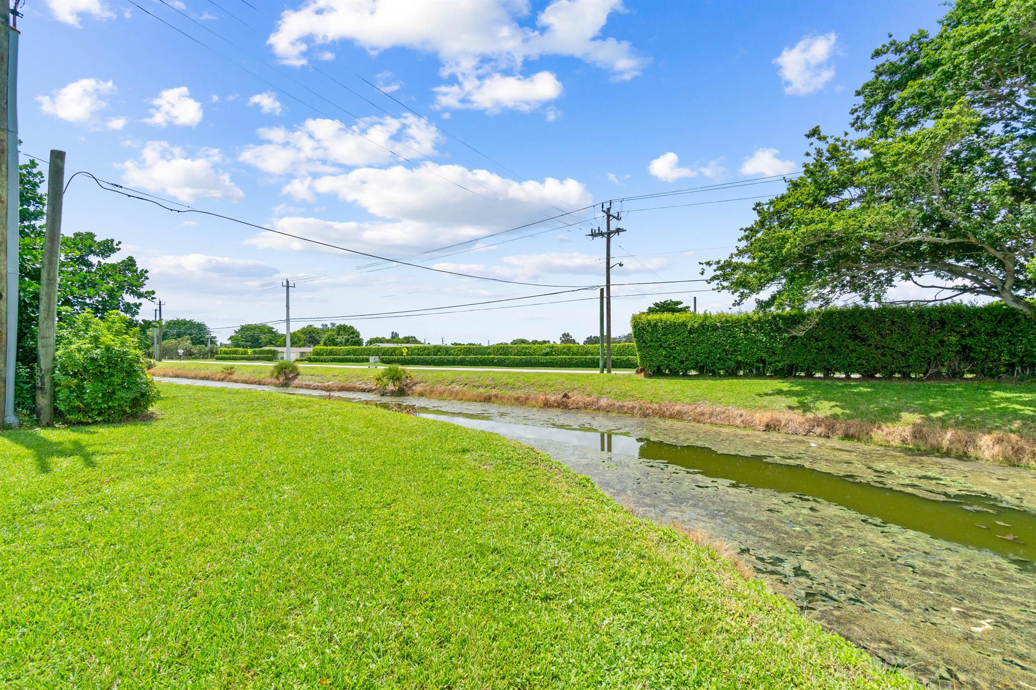 13525 Fishtail Palm Court C