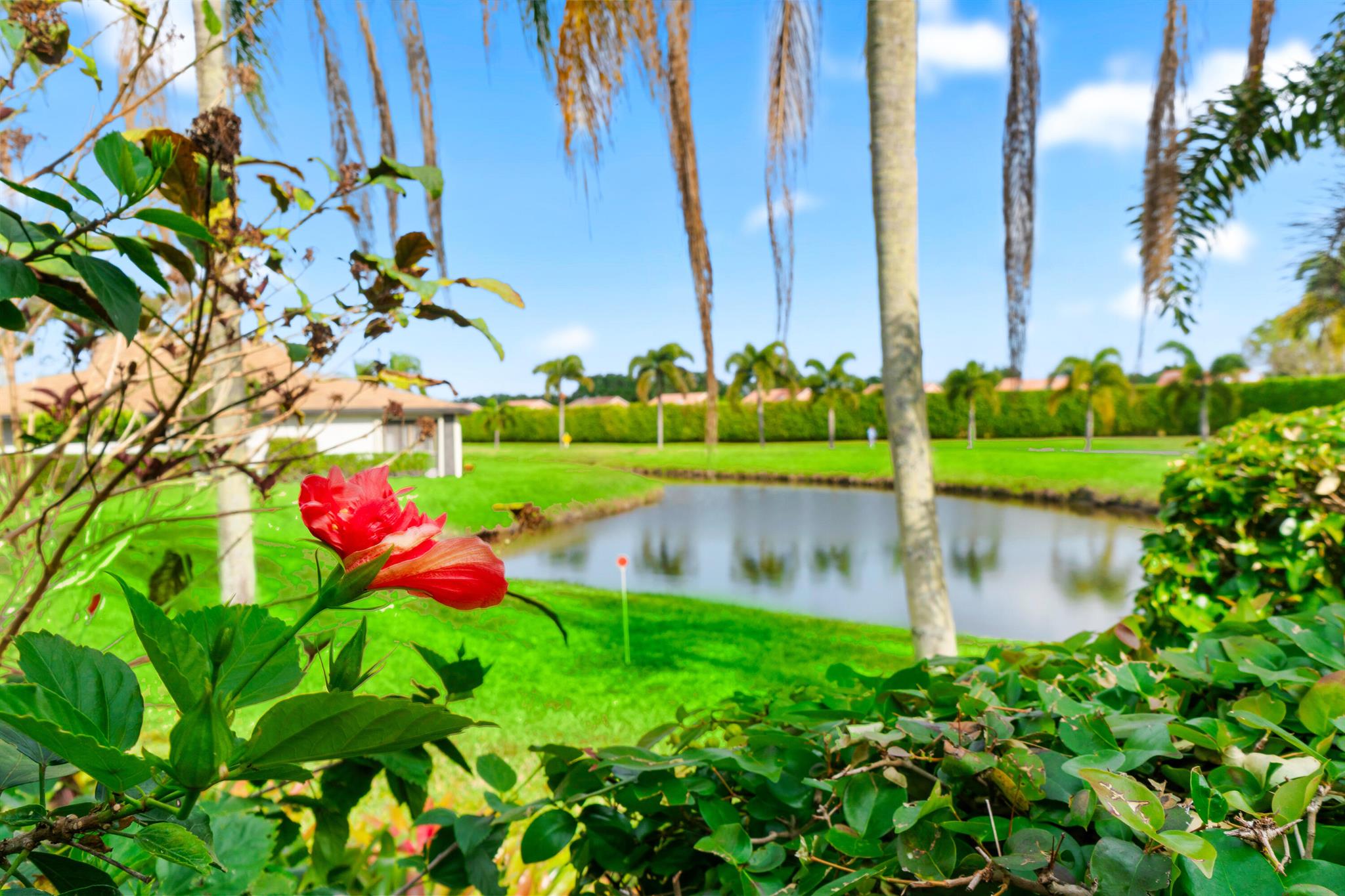 13937 Royal Palm Court B