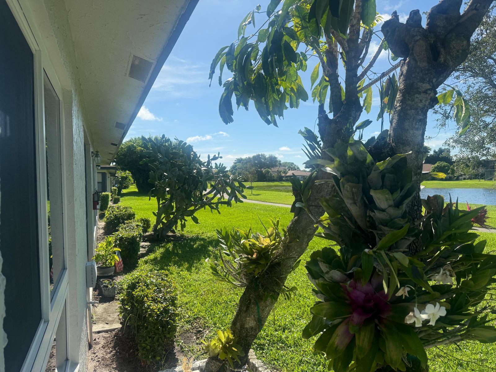 5778 Phoenix Palm Court C