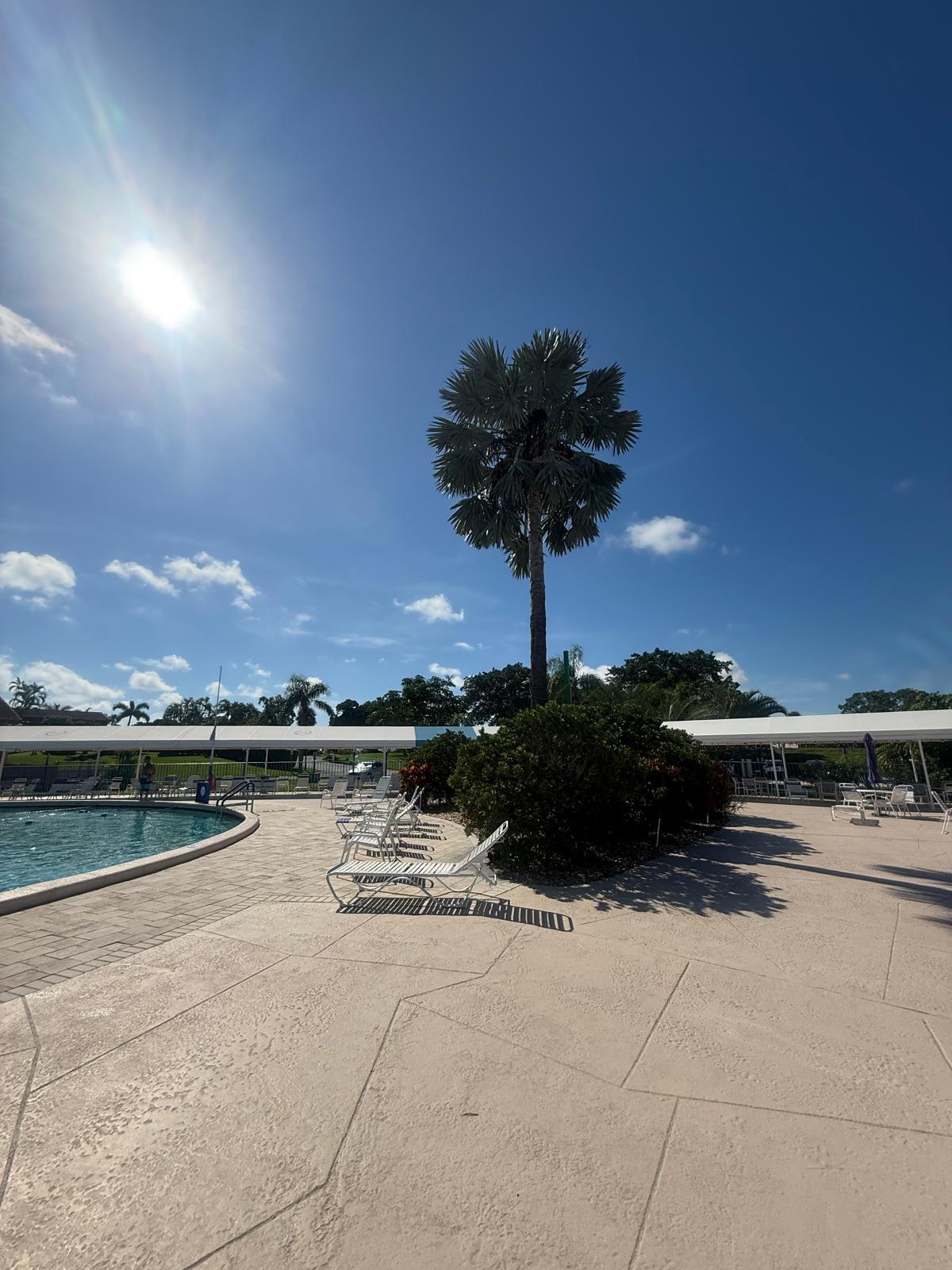 5778 Phoenix Palm Court C