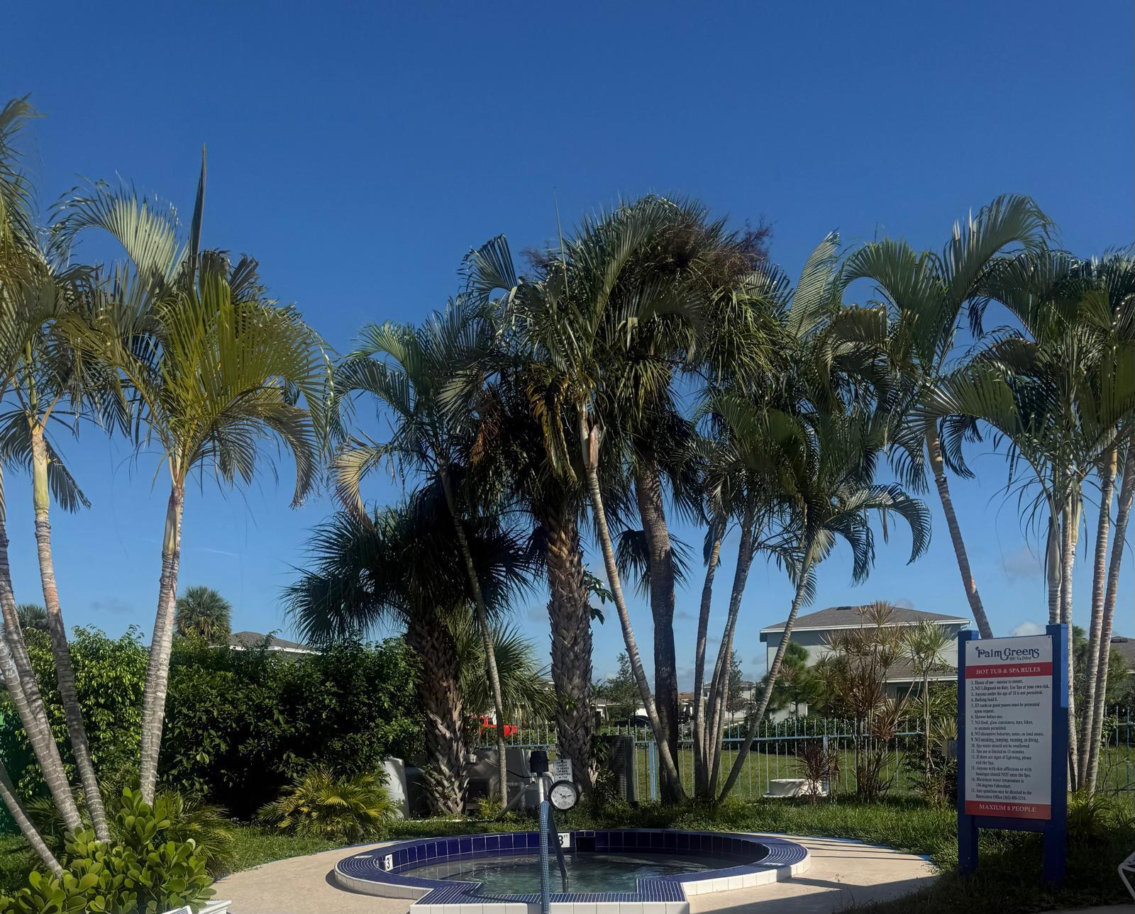 5778 Phoenix Palm Court C