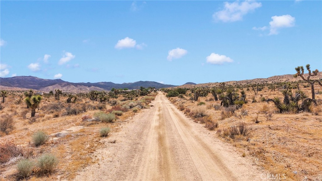 0 Mustang Avenue