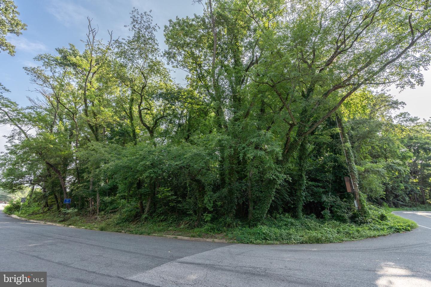 1100 Morningside Ln