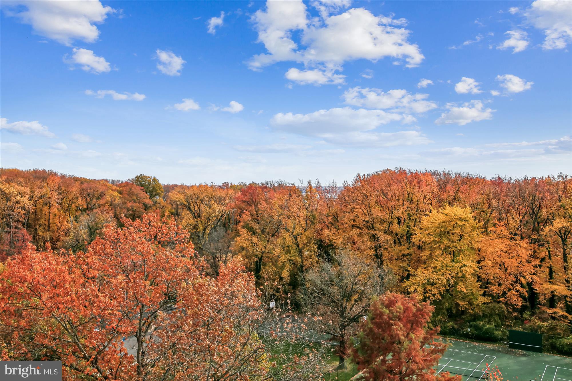 6621 WAKEFIELD DRIVE 910