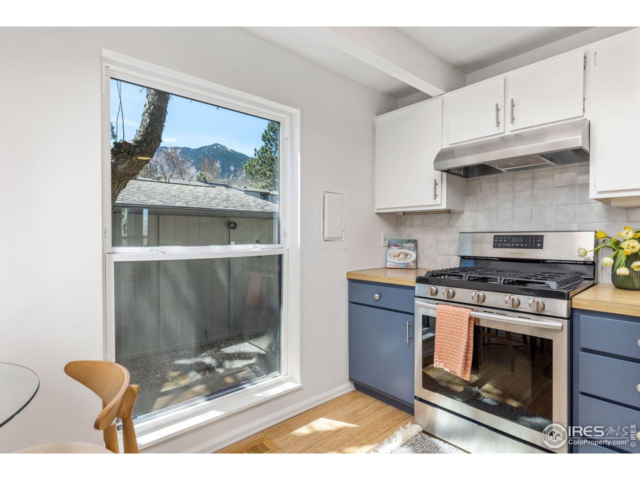 1385 Bear Mountain Dr 1385-D