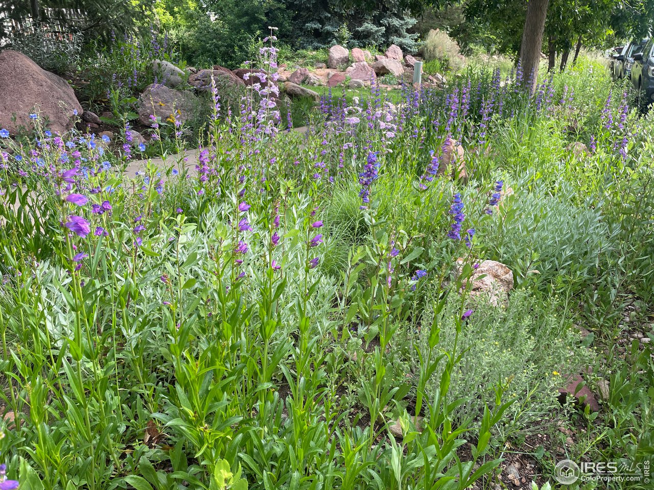 1385 Bear Mountain Dr 1385-D