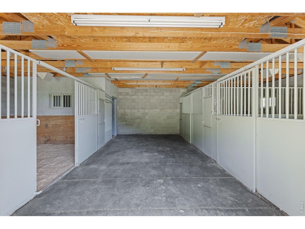 Stable aisle with white stall doors, one open stall, and exposed wooden ceiling trusses.