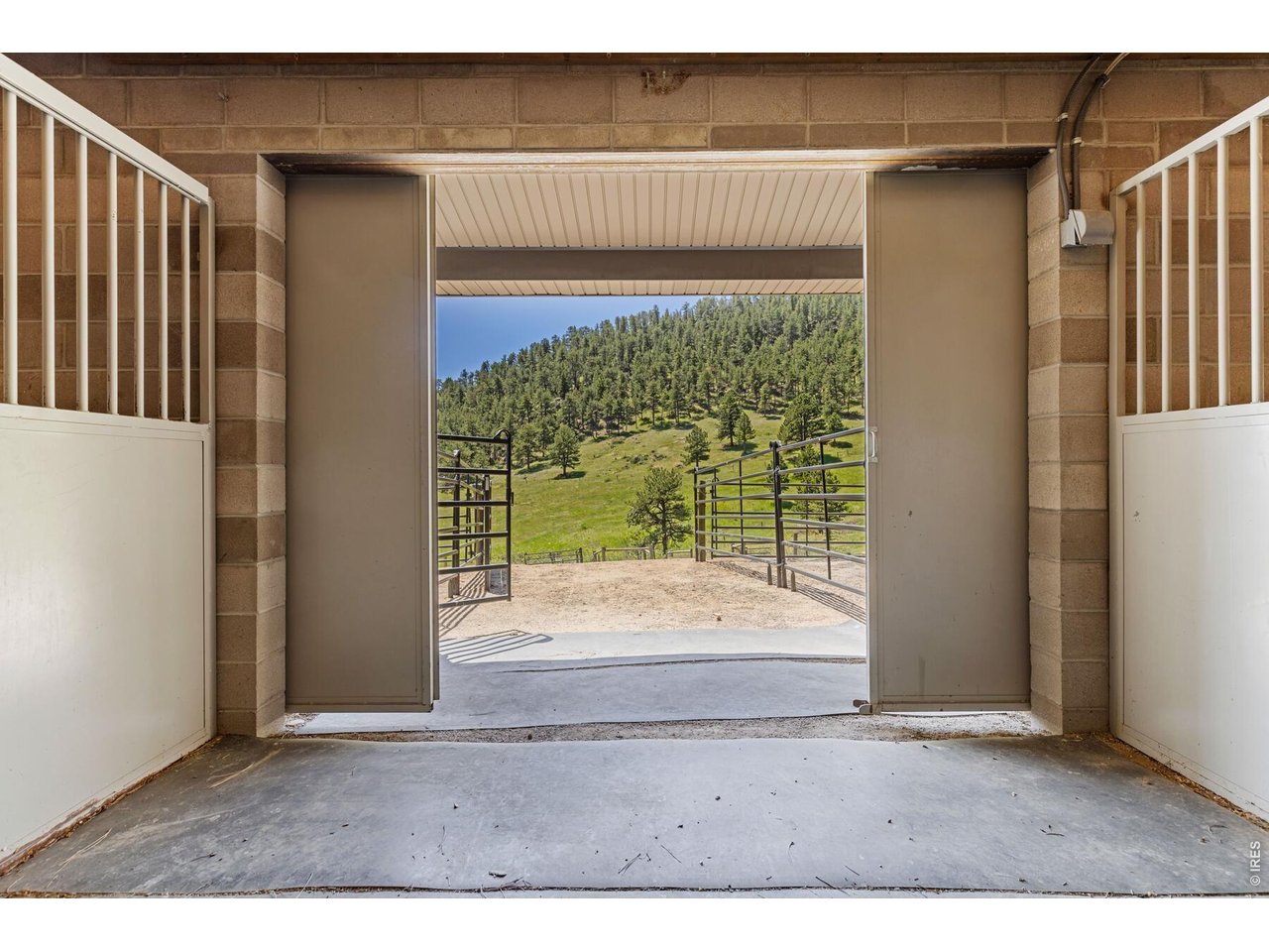 Barn interior opens to livestock gates and a green, pine-covered hillside.