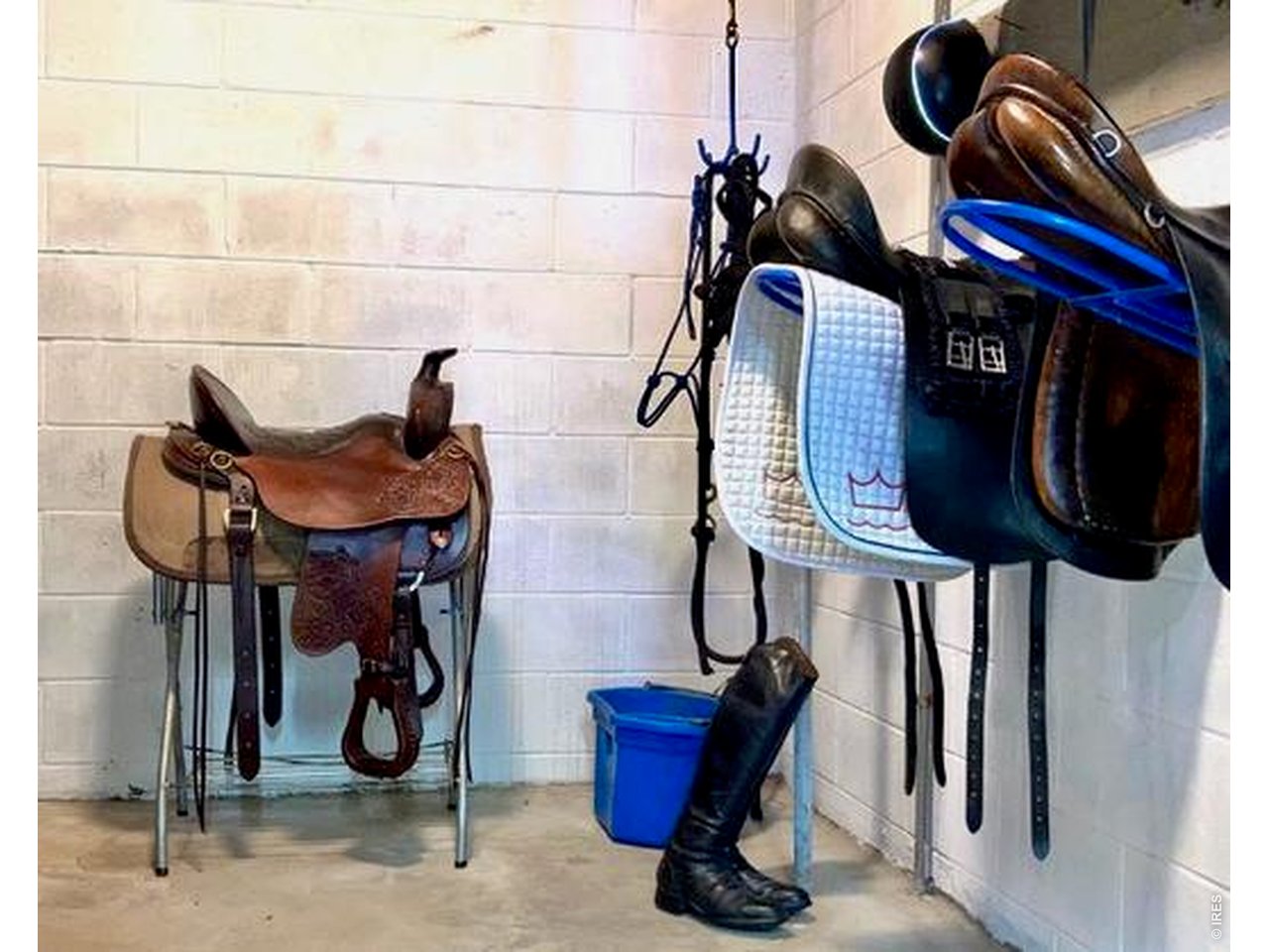Tack room with western saddles and bridles hanging beside a pair of riding boots.