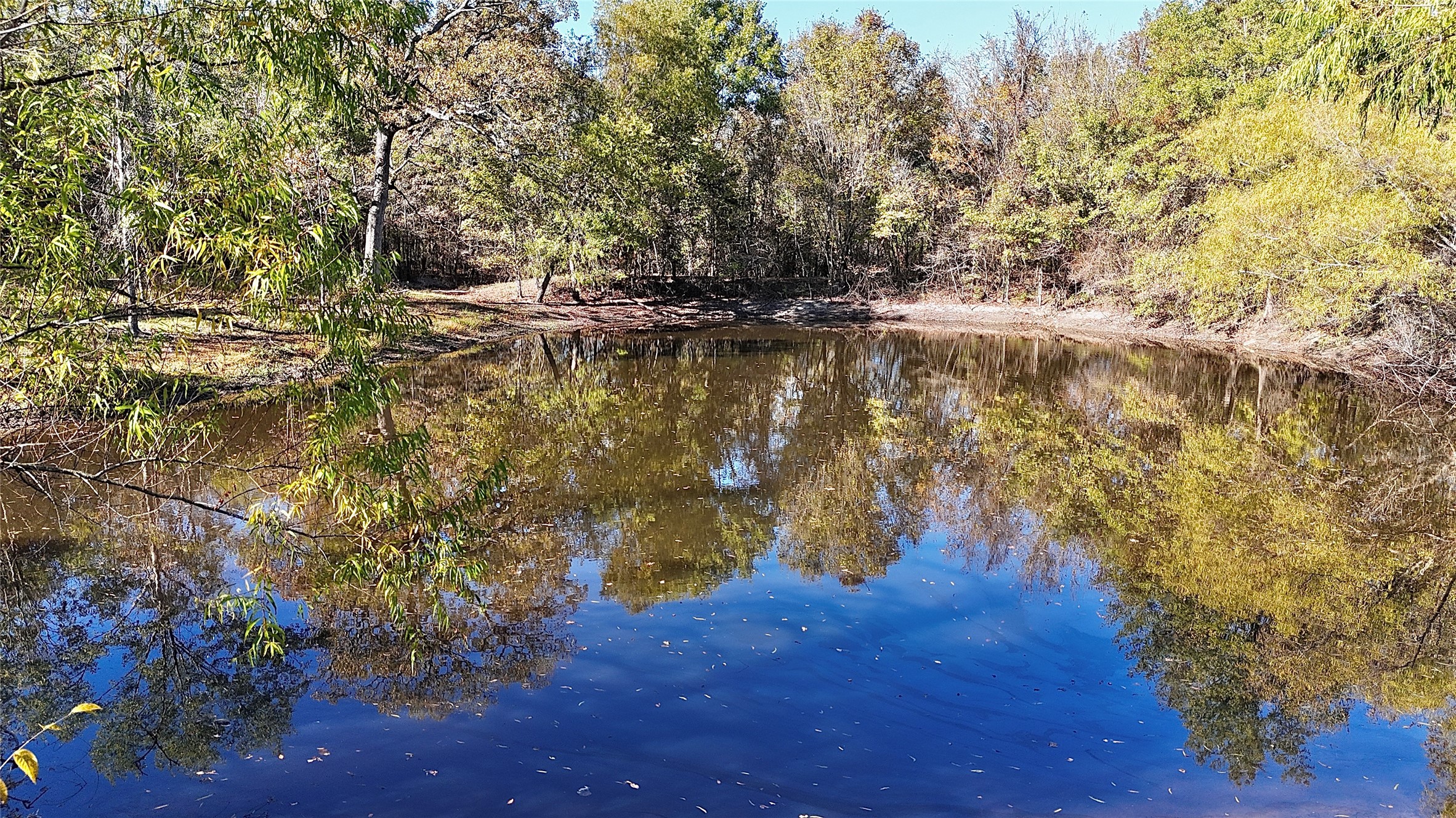 330 County Road 4577