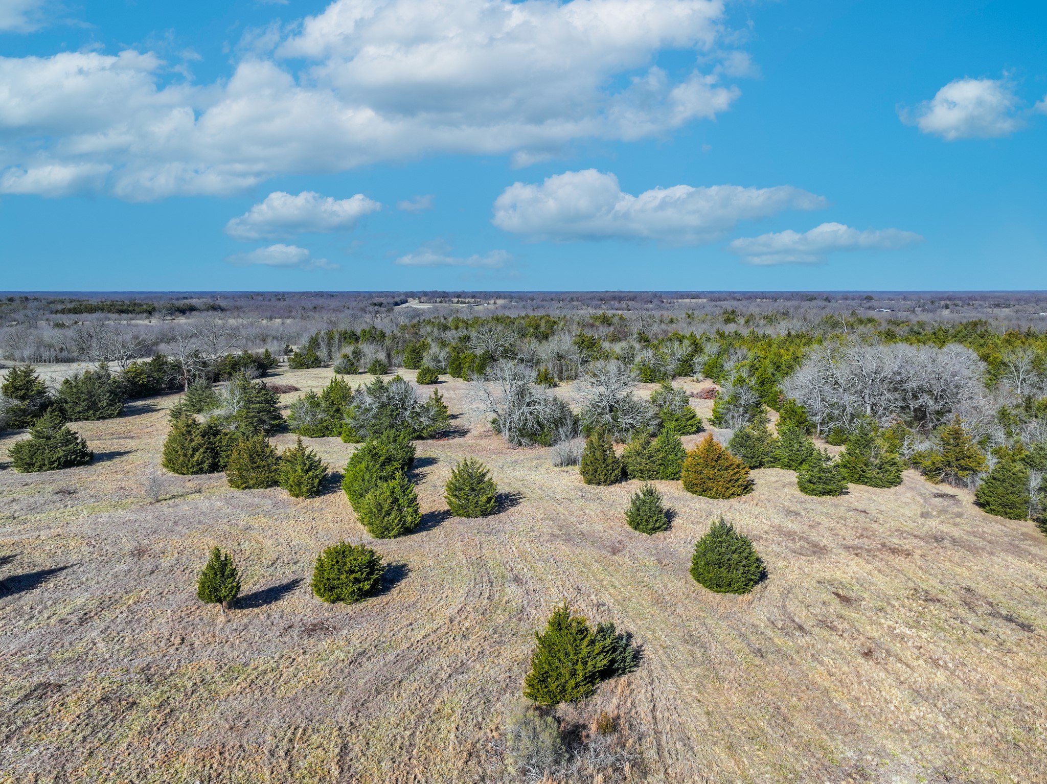TBD County Road 4574