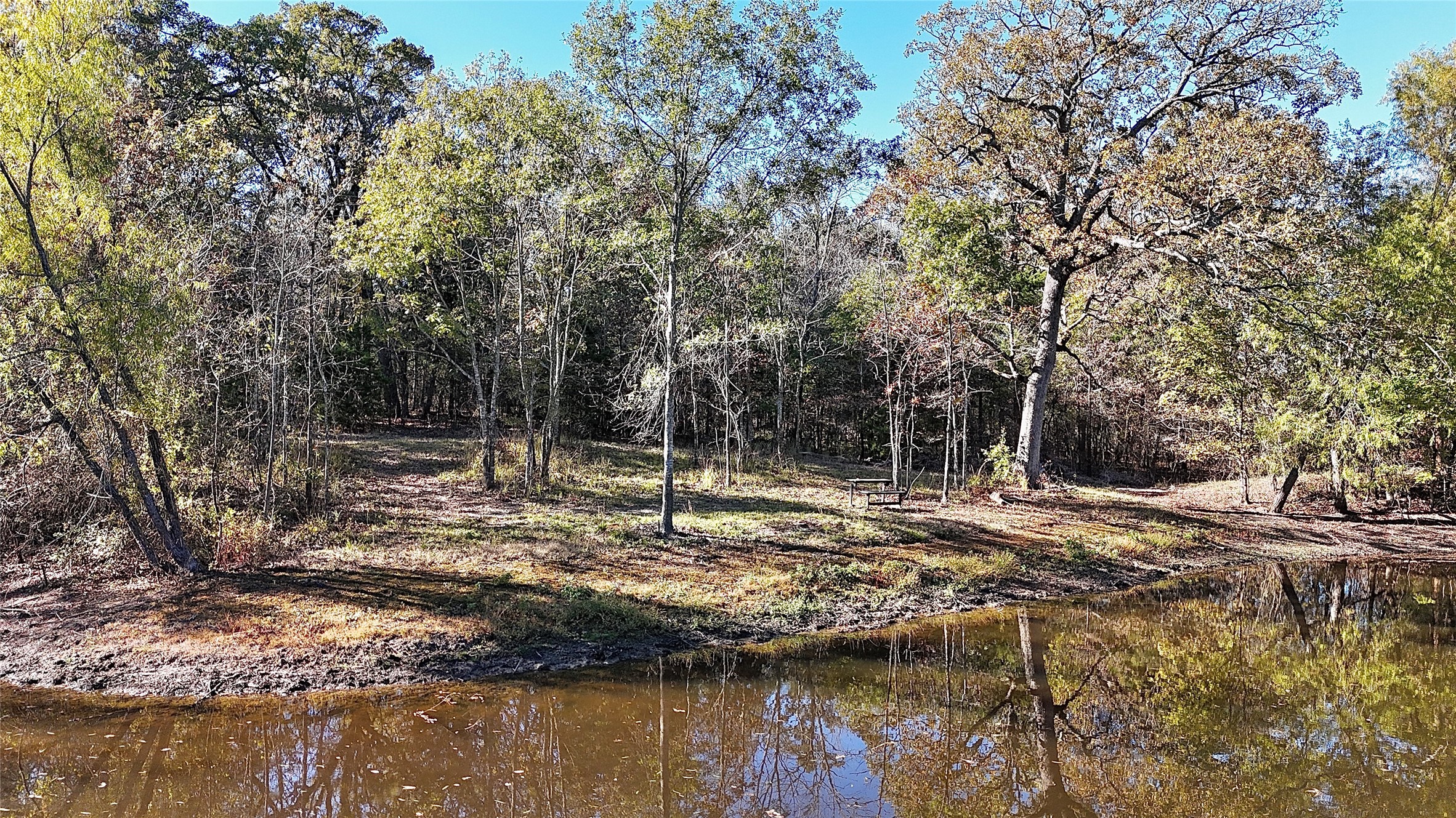 330 County Road 4577