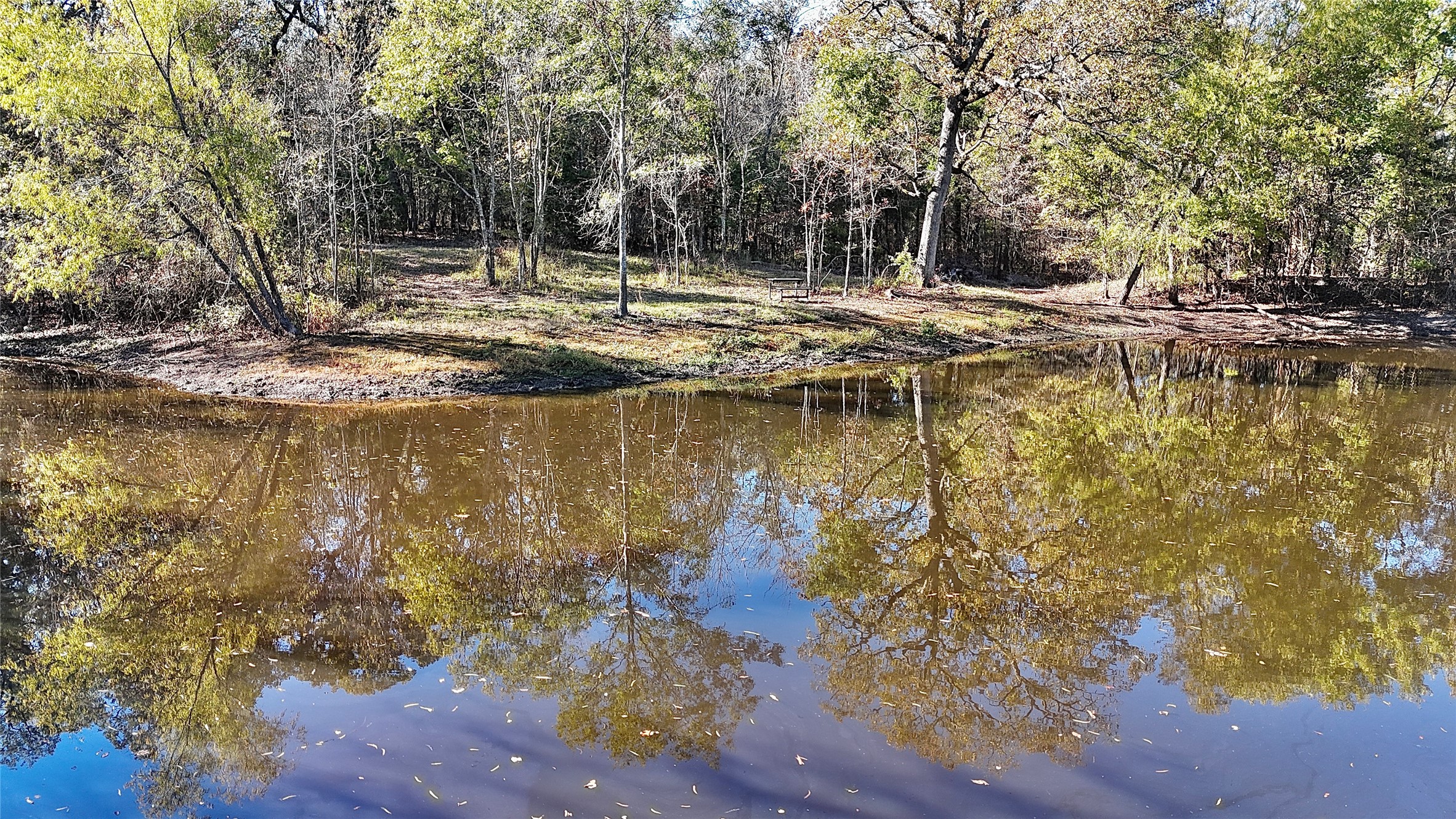 330 County Road 4577
