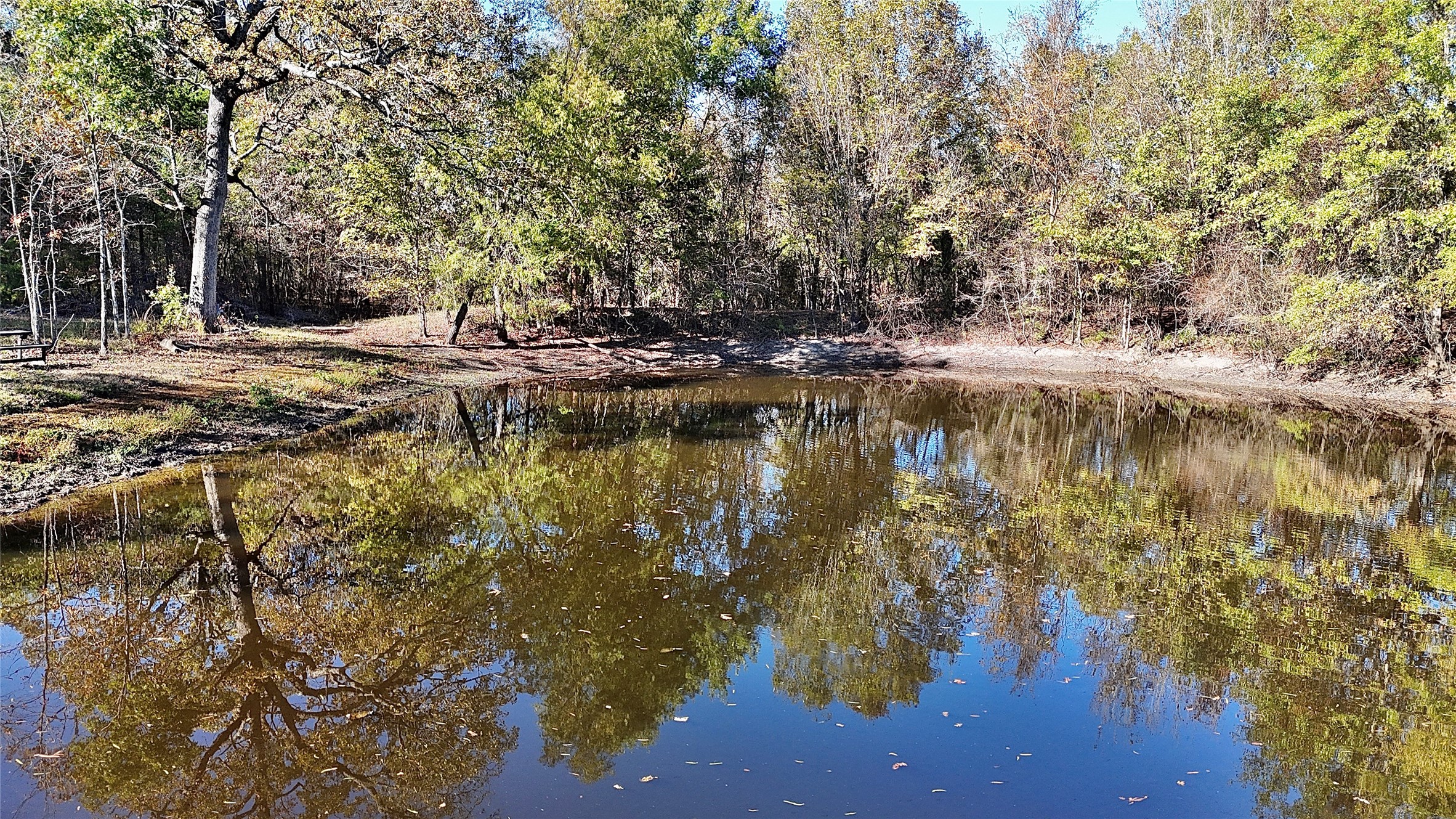 330 County Road 4577