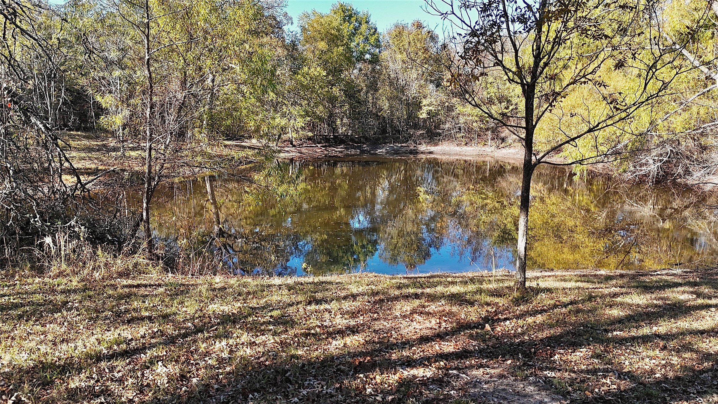 330 County Road 4577