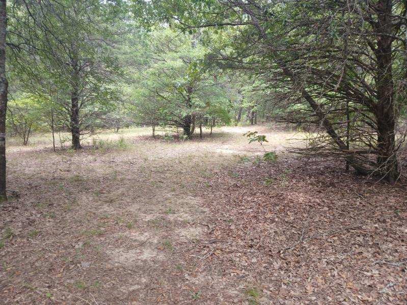 TBD County Road 4700