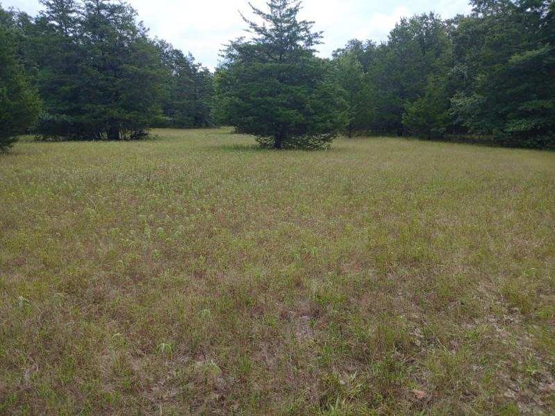 TBD County Road 4700