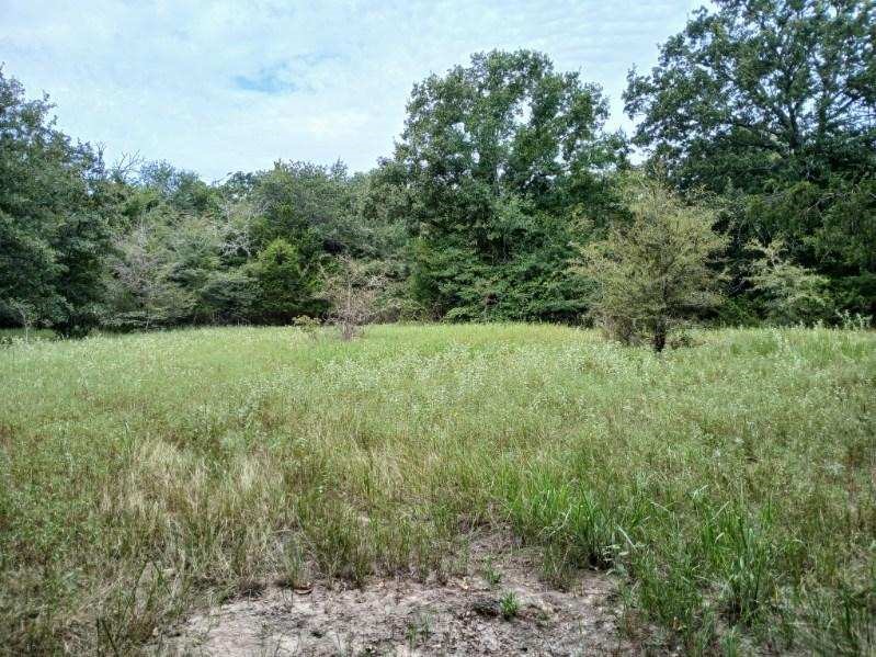 TBD County Road 4700