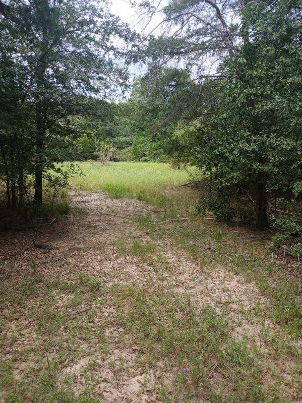 TBD County Road 4700