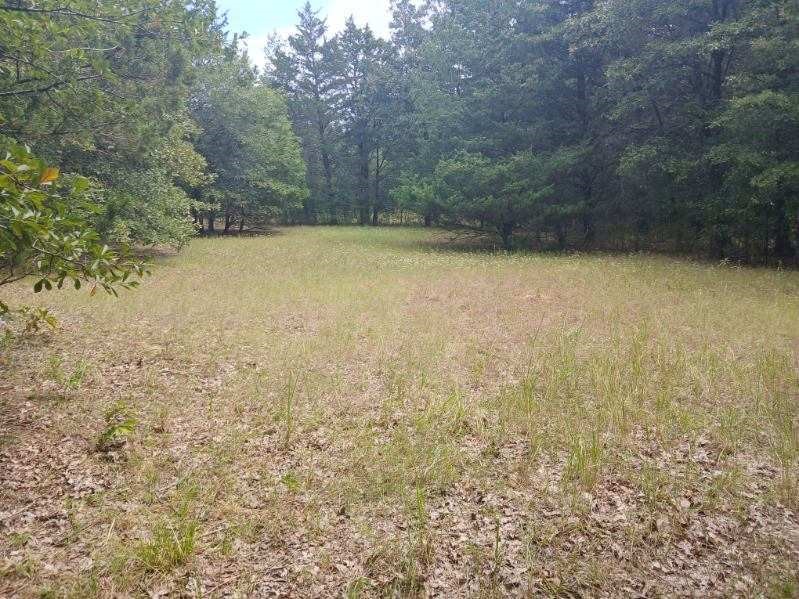 TBD County Road 4700