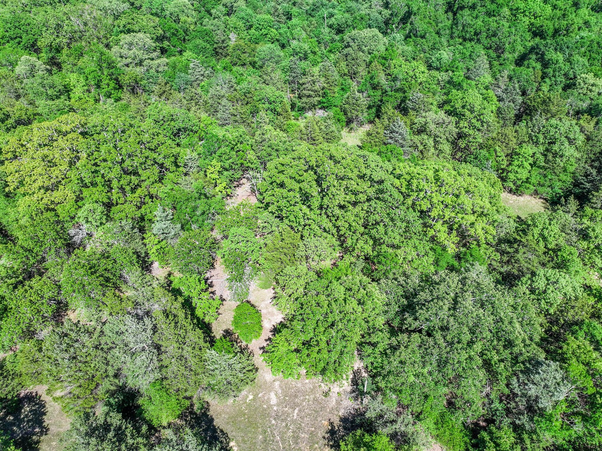 TBD County Road 4700