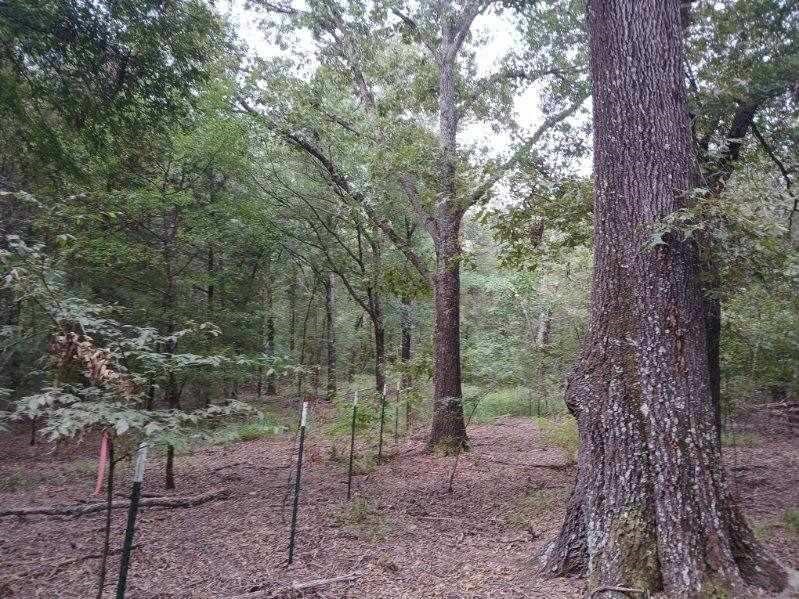 TBD County Road 4700