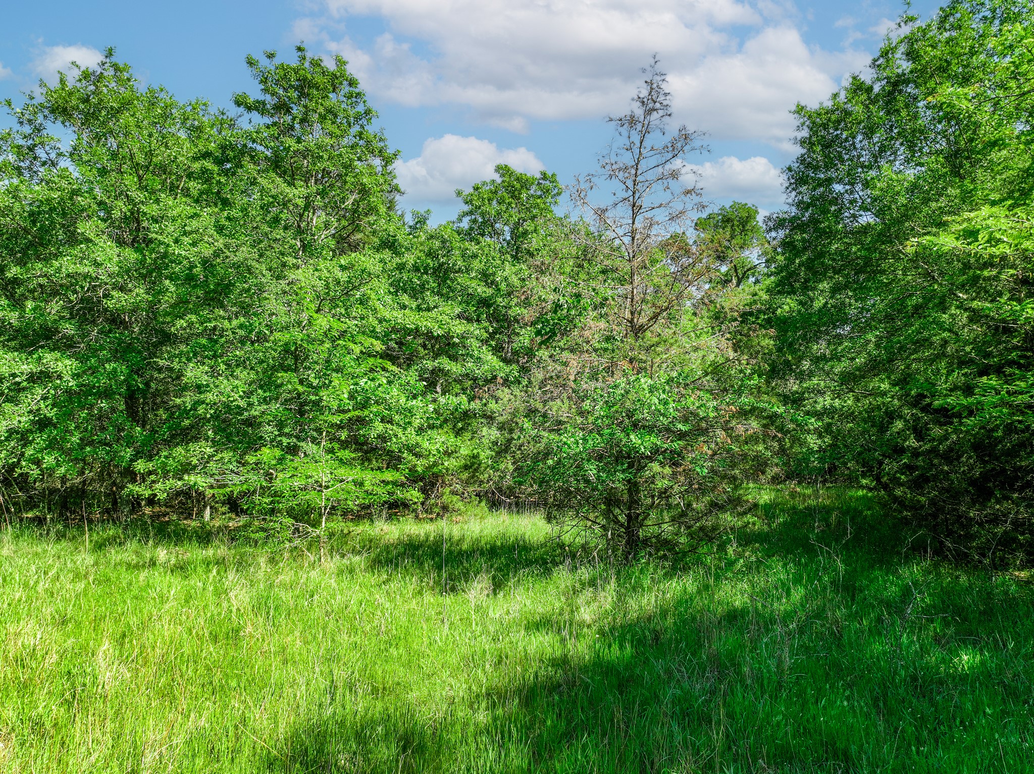 TBD County Road 4700