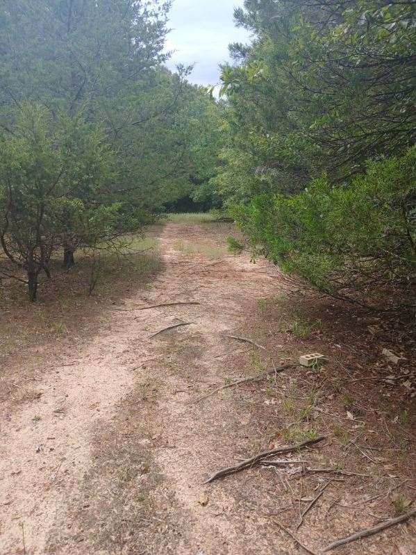 TBD County Road 4700